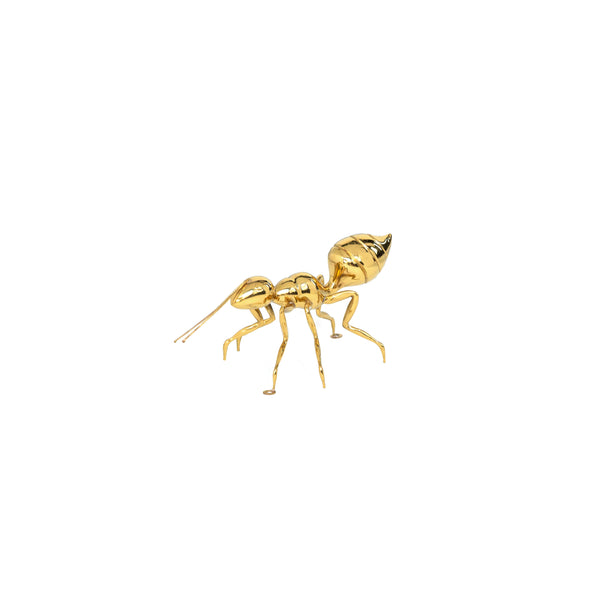 Gold Decorative Ant - abri home